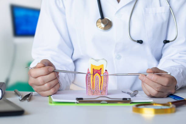 Best Emergency Dental Care for Trauma or Injury in Kraemer, LA